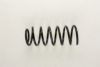VW 191411105M Coil Spring
